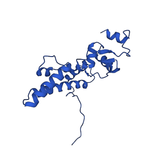 14579_7zag_D_v1-1
Cryo-EM structure of a Pyrococcus abyssi 30S bound to Met-initiator tRNA,mRNA, aIF1A and the C-terminal domain of aIF5B.