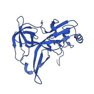14579_7zag_E_v1-1
Cryo-EM structure of a Pyrococcus abyssi 30S bound to Met-initiator tRNA,mRNA, aIF1A and the C-terminal domain of aIF5B.