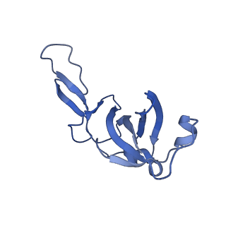 14579_7zag_G_v1-1
Cryo-EM structure of a Pyrococcus abyssi 30S bound to Met-initiator tRNA,mRNA, aIF1A and the C-terminal domain of aIF5B.