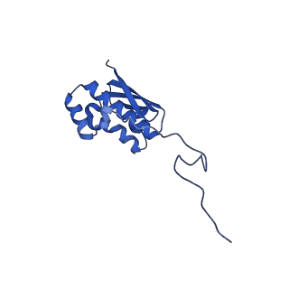 14579_7zag_K_v1-1
Cryo-EM structure of a Pyrococcus abyssi 30S bound to Met-initiator tRNA,mRNA, aIF1A and the C-terminal domain of aIF5B.