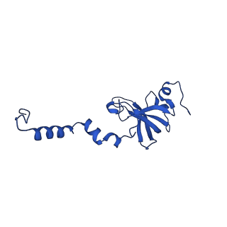 14579_7zag_N_v1-1
Cryo-EM structure of a Pyrococcus abyssi 30S bound to Met-initiator tRNA,mRNA, aIF1A and the C-terminal domain of aIF5B.