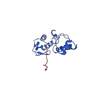 14579_7zag_O_v1-1
Cryo-EM structure of a Pyrococcus abyssi 30S bound to Met-initiator tRNA,mRNA, aIF1A and the C-terminal domain of aIF5B.