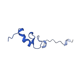 14579_7zag_P_v1-1
Cryo-EM structure of a Pyrococcus abyssi 30S bound to Met-initiator tRNA,mRNA, aIF1A and the C-terminal domain of aIF5B.