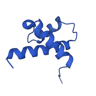 14579_7zag_S_v1-1
Cryo-EM structure of a Pyrococcus abyssi 30S bound to Met-initiator tRNA,mRNA, aIF1A and the C-terminal domain of aIF5B.