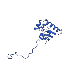 14579_7zag_T_v1-1
Cryo-EM structure of a Pyrococcus abyssi 30S bound to Met-initiator tRNA,mRNA, aIF1A and the C-terminal domain of aIF5B.