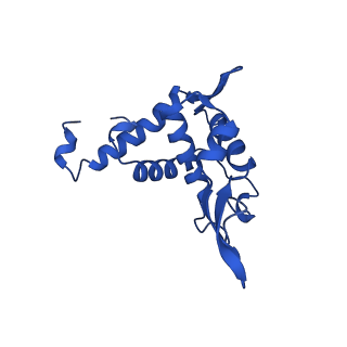 14579_7zag_U_v1-1
Cryo-EM structure of a Pyrococcus abyssi 30S bound to Met-initiator tRNA,mRNA, aIF1A and the C-terminal domain of aIF5B.