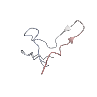14579_7zag_Y_v1-1
Cryo-EM structure of a Pyrococcus abyssi 30S bound to Met-initiator tRNA,mRNA, aIF1A and the C-terminal domain of aIF5B.