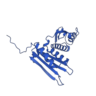 14579_7zag_Z_v1-1
Cryo-EM structure of a Pyrococcus abyssi 30S bound to Met-initiator tRNA,mRNA, aIF1A and the C-terminal domain of aIF5B.