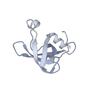 14580_7zah_6_v1-2
Cryo-EM structure of a Pyrococcus abyssi 30S bound to Met-initiator tRNA, mRNA, aIF1A and aIF5B