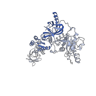 14580_7zah_7_v1-2
Cryo-EM structure of a Pyrococcus abyssi 30S bound to Met-initiator tRNA, mRNA, aIF1A and aIF5B