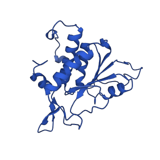 14580_7zah_B_v1-2
Cryo-EM structure of a Pyrococcus abyssi 30S bound to Met-initiator tRNA, mRNA, aIF1A and aIF5B