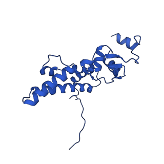 14580_7zah_D_v1-2
Cryo-EM structure of a Pyrococcus abyssi 30S bound to Met-initiator tRNA, mRNA, aIF1A and aIF5B