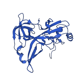 14580_7zah_E_v1-2
Cryo-EM structure of a Pyrococcus abyssi 30S bound to Met-initiator tRNA, mRNA, aIF1A and aIF5B