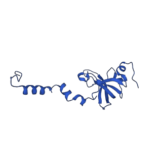 14580_7zah_N_v1-2
Cryo-EM structure of a Pyrococcus abyssi 30S bound to Met-initiator tRNA, mRNA, aIF1A and aIF5B