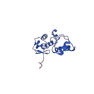 14580_7zah_O_v1-2
Cryo-EM structure of a Pyrococcus abyssi 30S bound to Met-initiator tRNA, mRNA, aIF1A and aIF5B
