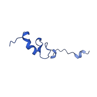 14580_7zah_P_v1-2
Cryo-EM structure of a Pyrococcus abyssi 30S bound to Met-initiator tRNA, mRNA, aIF1A and aIF5B