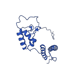 14580_7zah_Q_v1-2
Cryo-EM structure of a Pyrococcus abyssi 30S bound to Met-initiator tRNA, mRNA, aIF1A and aIF5B