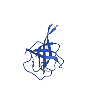 14580_7zah_R_v1-2
Cryo-EM structure of a Pyrococcus abyssi 30S bound to Met-initiator tRNA, mRNA, aIF1A and aIF5B
