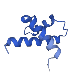 14580_7zah_S_v1-2
Cryo-EM structure of a Pyrococcus abyssi 30S bound to Met-initiator tRNA, mRNA, aIF1A and aIF5B