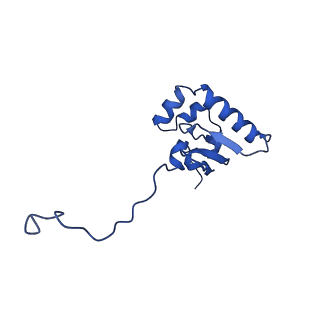 14580_7zah_T_v1-2
Cryo-EM structure of a Pyrococcus abyssi 30S bound to Met-initiator tRNA, mRNA, aIF1A and aIF5B