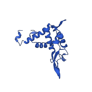 14580_7zah_U_v1-2
Cryo-EM structure of a Pyrococcus abyssi 30S bound to Met-initiator tRNA, mRNA, aIF1A and aIF5B
