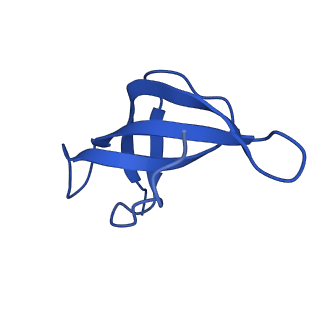 14580_7zah_X_v1-2
Cryo-EM structure of a Pyrococcus abyssi 30S bound to Met-initiator tRNA, mRNA, aIF1A and aIF5B