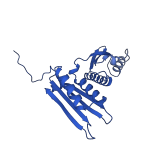 14580_7zah_Z_v1-2
Cryo-EM structure of a Pyrococcus abyssi 30S bound to Met-initiator tRNA, mRNA, aIF1A and aIF5B