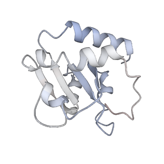 14581_7zai_3_v1-1
Cryo-EM structure of a Pyrococcus abyssi 30S bound to Met-initiator tRNA, mRNA and aIF1A.