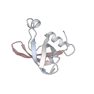 14581_7zai_6_v1-1
Cryo-EM structure of a Pyrococcus abyssi 30S bound to Met-initiator tRNA, mRNA and aIF1A.