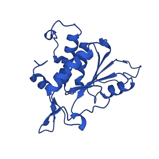 14581_7zai_B_v1-1
Cryo-EM structure of a Pyrococcus abyssi 30S bound to Met-initiator tRNA, mRNA and aIF1A.