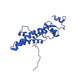 14581_7zai_D_v1-1
Cryo-EM structure of a Pyrococcus abyssi 30S bound to Met-initiator tRNA, mRNA and aIF1A.