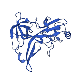 14581_7zai_E_v1-1
Cryo-EM structure of a Pyrococcus abyssi 30S bound to Met-initiator tRNA, mRNA and aIF1A.