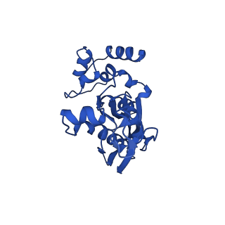14581_7zai_F_v1-1
Cryo-EM structure of a Pyrococcus abyssi 30S bound to Met-initiator tRNA, mRNA and aIF1A.