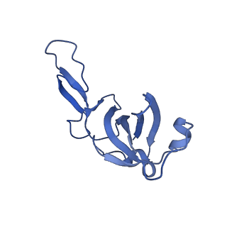 14581_7zai_G_v1-1
Cryo-EM structure of a Pyrococcus abyssi 30S bound to Met-initiator tRNA, mRNA and aIF1A.