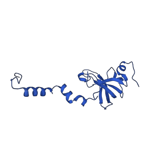 14581_7zai_N_v1-1
Cryo-EM structure of a Pyrococcus abyssi 30S bound to Met-initiator tRNA, mRNA and aIF1A.