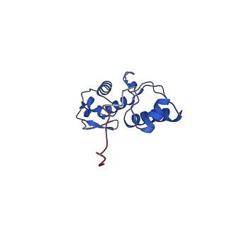 14581_7zai_O_v1-1
Cryo-EM structure of a Pyrococcus abyssi 30S bound to Met-initiator tRNA, mRNA and aIF1A.