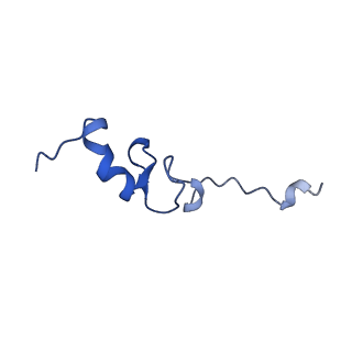 14581_7zai_P_v1-1
Cryo-EM structure of a Pyrococcus abyssi 30S bound to Met-initiator tRNA, mRNA and aIF1A.