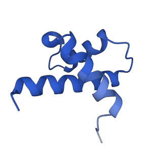 14581_7zai_S_v1-1
Cryo-EM structure of a Pyrococcus abyssi 30S bound to Met-initiator tRNA, mRNA and aIF1A.