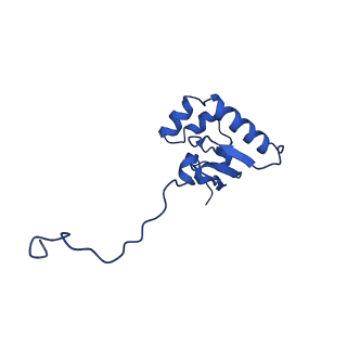 14581_7zai_T_v1-1
Cryo-EM structure of a Pyrococcus abyssi 30S bound to Met-initiator tRNA, mRNA and aIF1A.