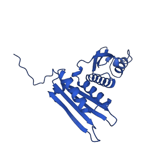 14581_7zai_Z_v1-1
Cryo-EM structure of a Pyrococcus abyssi 30S bound to Met-initiator tRNA, mRNA and aIF1A.
