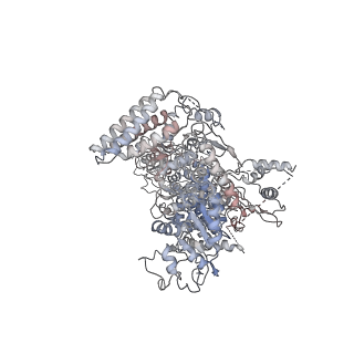 6904_5zak_A_v1-2
Cryo-EM structure of human Dicer and its complexes with a pre-miRNA substrate