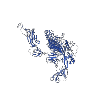 11144_6zb4_A_v1-1
SARS CoV-2 Spike protein, Closed conformation, C1 symmetry