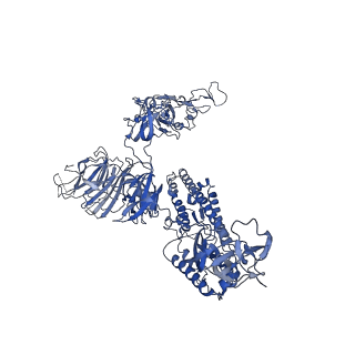 11144_6zb4_B_v1-1
SARS CoV-2 Spike protein, Closed conformation, C1 symmetry