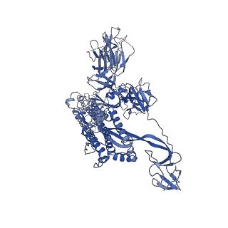 11144_6zb4_C_v1-1
SARS CoV-2 Spike protein, Closed conformation, C1 symmetry