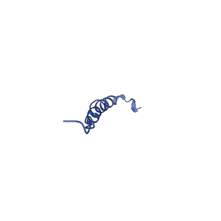 11149_6zbb_8_v1-2
bovine ATP synthase Fo domain