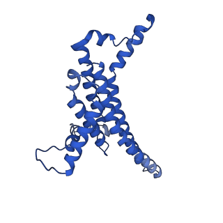 11149_6zbb_a_v1-2
bovine ATP synthase Fo domain