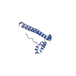 11149_6zbb_b_v1-2
bovine ATP synthase Fo domain