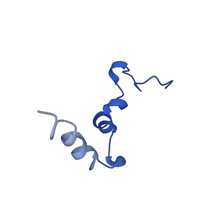 11149_6zbb_d_v1-2
bovine ATP synthase Fo domain