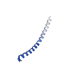 11149_6zbb_e_v1-2
bovine ATP synthase Fo domain