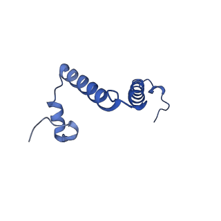 11149_6zbb_f_v1-2
bovine ATP synthase Fo domain